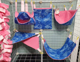 Cage Sets 7pc- Many To Choose From - Canadian Sugar Gliders