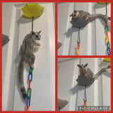 Umbrella Ledge for climbing and gliding