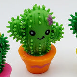 Cactus hérissé