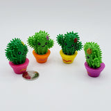 Cactus hérissé