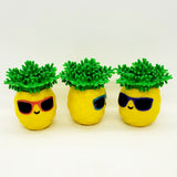 Ananas épicé