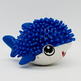 Requin mignon hérissé