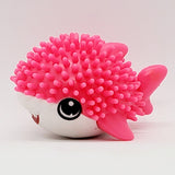 Requin mignon hérissé
