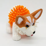 Corgi épineux