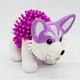 Corgi épineux