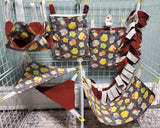 Cage Sets 6pc & 7pc- Many To Choose From - Canadian Sugar Gliders