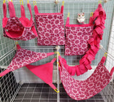 Cage Sets 6pc & 7pc- Many To Choose From - Canadian Sugar Gliders