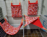 Cage Sets 4pc & 5pc- Many To Choose From - Canadian Sugar Gliders