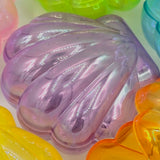 Hollow Seashell Foraging Treat Cup Box