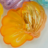 Hollow Seashell Foraging Treat Cup Box