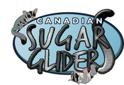 Canadian Sugar Gliders