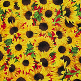 Pochettes de couchage - Régulières et XL