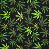 Pochettes de couchage - Régulières et XL