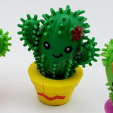 Cactus hérissé