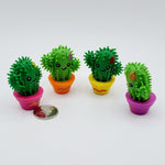 Spiky Cactus