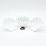 Hollow Seashell Foraging Treat Cup Box - Canadian Sugar Gliders