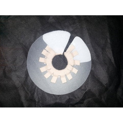 Satellite E-Collar with Velcro Closure – Canadian Sugar Gliders